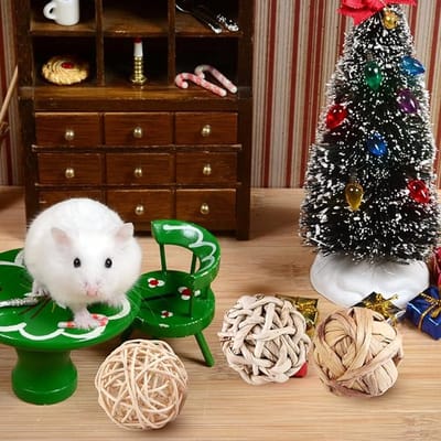 Famanu - 13 Stuks Kauwballen, Speelgoed voor Kleine Dieren, Kauwspeelgoed, Grasspeelgoed, Natuurlijk, Grasbal voor Konijnen, Cavia's, Hamsters