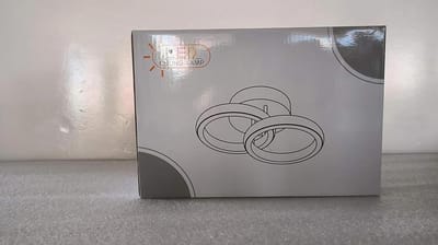 Plafondlamp 2 lichtpunten modern design warmwit 3000K 22W siliconen afdekking woonkamer slaapkamer keuken 2 led-ringen