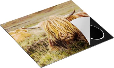 Chefcare Inductie Beschermer Harige Schotste Hooglander Koe in het Gras - 60x50 cm - Afdekplaat Inductie - Kookplaat Beschermer - Inductie Mat