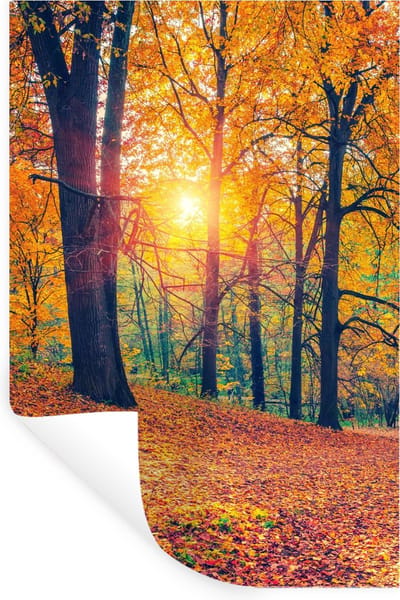 Muurstickers - Sticker Folie - Bomen - Herfst - Bos - Herfstbladeren - 20x30 cm - Plakfolie - Muurstickers Kinderkamer - Zelfklevend Behang - Zelfklevend behangpapier - Stickerfolie