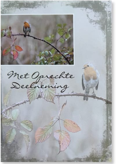 Cards & Crafts Condoleancekaart - Met Oprechte Deelneming Wenskaart - 12 x 17 cm - gevouwen kaart Inclusief envelop