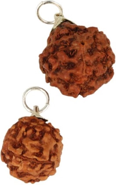 Rhudraksha edelsteen hanger