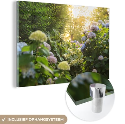 ® Glasschilderij 180x120 cm - Schilderij acrylglas - Gele hortensia's in de tuin - Foto op glas - Muurdecoratie woonkamer - Wanddecoratie slaapkamer - Schilderijen