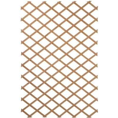 Nature Treillis de jardin 100 x 300 cm Bois Marron 419779