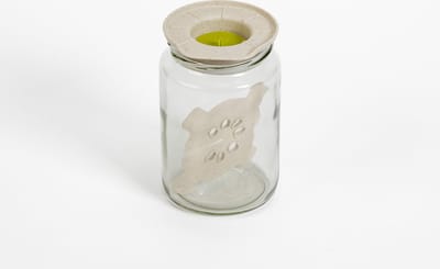 Fermentatie set met speciale deksel met pot.