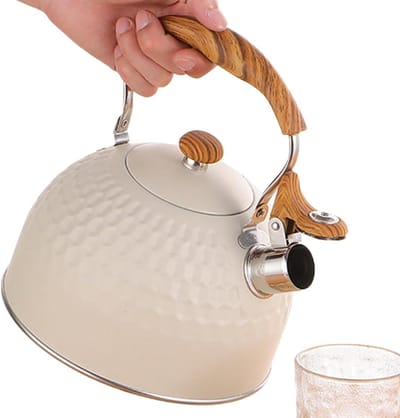 Waterkoker Zingen - Theepot Koken - Water Koken - Automatisch Fluitend - 2.5 Liter - Wit