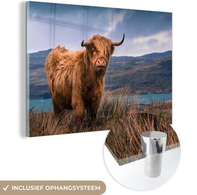 MuchoWow® Glasschilderij 60x40 cm - Schilderij acrylglas - Schotse Hooglander - Berg - Water - Natuur - Koe - Foto op glas - Schilderijen