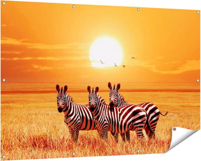 Gards Tuinposter Drie Zebra's bij Zonsondergang - 150x100 cm - Tuindoek - Tuindecoratie - Wanddecoratie buiten - Tuinschilderij