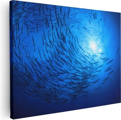 Artaza Canvas Schilderij Zee - 40x30 cm - Klein - Wanddecoratie Vissen - Muurdecoratie Onderwaterwereld - Kamer Accessoires