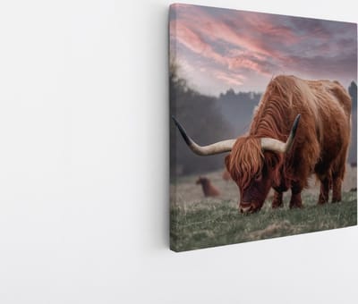 Saammp Canvas Schilderij Schotse Hooglander Koe in de sneeuw- Dieren - Natuur - 20x20 - Foto op canvas - Wanddecoratie - muurdecoratie Woonkamer - Slaapkamer decoratie - Canvas Print