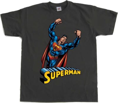 DC Comics Superman Heren Tshirt -S- Flying Grijs