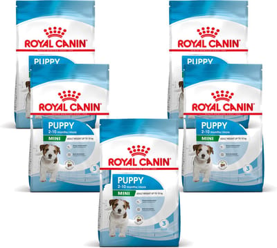 Royal Canin Mini Puppy - Hondenvoer - 5 x 800g - Puppy's van kleine rassen
