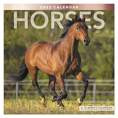 Maandelijkse Paarden Kalender 2023 - 16 Maanden