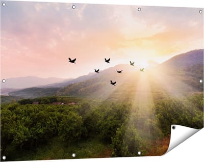 Gards Tuinposter Silhouet Zwerm Vogels bij Zonsondergang - 120x80 cm - Tuindoek - Tuindecoratie - Wanddecoratie buiten - Tuinschilderij