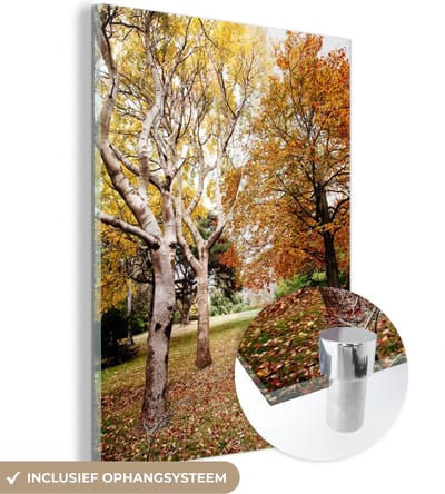 MuchoWow® Glasschilderij 30x40 cm - Schilderij acrylglas - Herfst - Bomen - Bladeren - natuur - Foto op glas - Schilderijen
