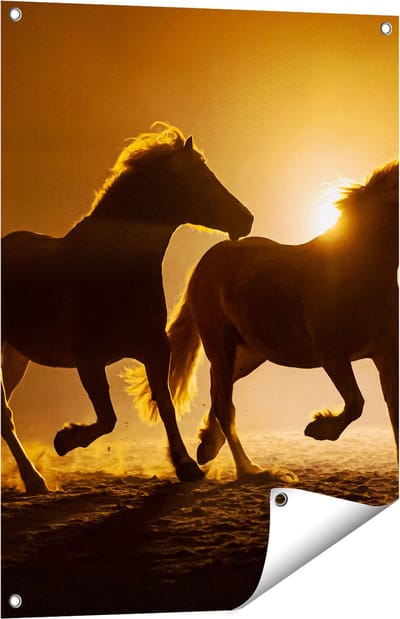 Gards Tuinposter Silhouet van Twee Paarden - 60x80 cm - Tuindoek - Tuindecoratie - Wanddecoratie buiten - Tuinschilderij