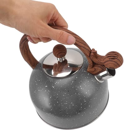 Dailygoody - Fluitketel - Roestvrijstalen Theepot - Ideaal voor Waterkoken - Grijs - Vaatwasserbestendig - Traditioneel Design - Geschikt voor Huishou