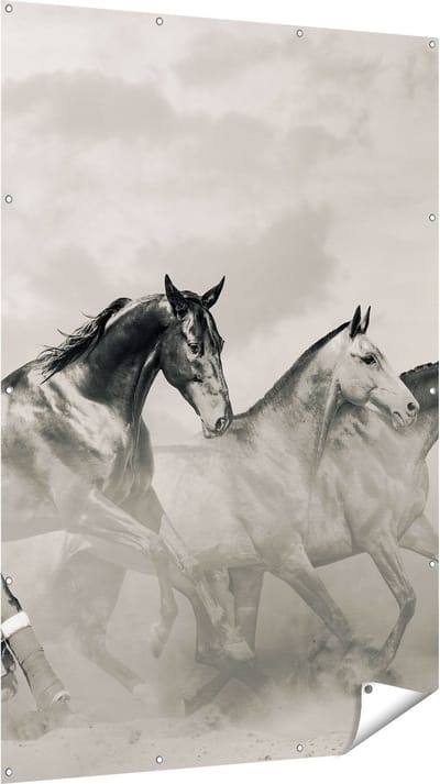 Gards Tuinposter Vier Paarden naast Elkaar - Zwart Wit - 120x180 cm - Tuindoek - Tuindecoratie - Wanddecoratie buiten - Tuinschilderij
