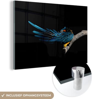 MuchoWow® Glasschilderij 60x40 cm - Schilderij acrylglas - Vogel - Veren - Tak - Zwart - Foto op glas - Schilderijen