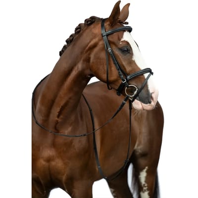 Bitloos hoofdstel voor paarden HKM Jana