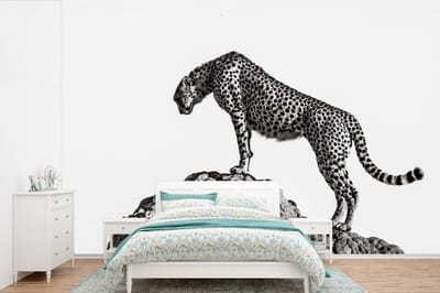 Behang - Fotobehang Roofdier - Panter - Dieren - Natuur - Breedte 360 cm x hoogte 240 cm