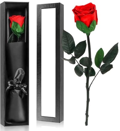 Infinity Roos Geschenkdoos - Eeuwige Roos voor Vrouwen - Ideaal Cadeau voor Verjaardag, Valentijnsdag en Moederdag