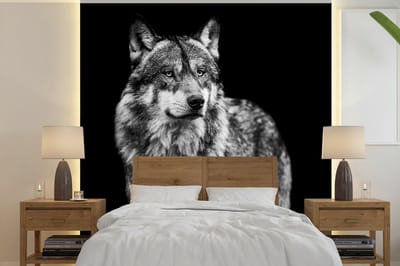 Behang - Fotobehang Wolf - Dieren - Wild - Zwart - Wit - Breedte 350 cm x hoogte 350 cm