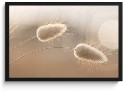 Poster in lijst - Fotolijst 60x40 cm - Posters - Hazestaartgras - Graanharen - Zonlicht - Posterlijst zwart - Decoratie - Wanddecoratie woonkamer - Muurdecoratie slaapkamer