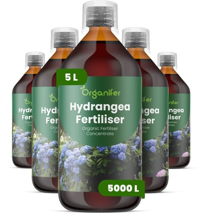 Vloeibare Meststof Voor Hortensia 5X1 L Voor 5000 L - Npk 2-1-8 - Knopvorming - Meer Bloemen - Sterke Bloemstructuur - Langdurige Bloei - Sterk Wortelstelsel - Stressbestendig - Rijke Bladkleur- Seizoensvitaliteit - Evenwichtige Groei - Organifer