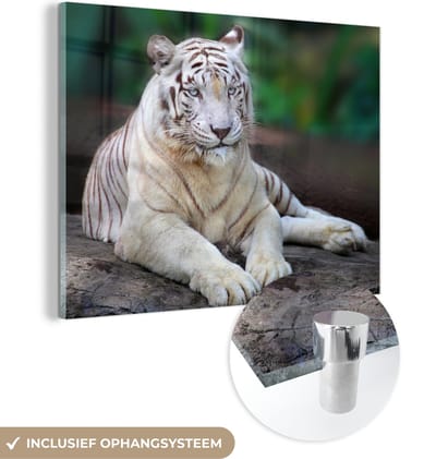 MuchoWow® Glasschilderij 40x30 cm - Schilderij acrylglas - Witte tijger - Boomstam - Bos - Foto op glas - Schilderijen