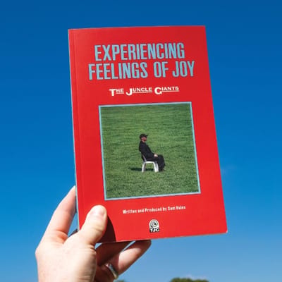 The Jungle Giants - Experiencing Feelings Of Joy (LP) (Indies Only)