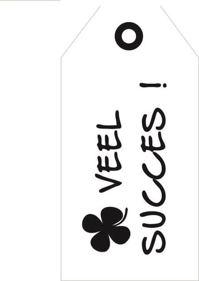 Luxe Bloemenkaartje - Cadeaukaartje - Label - Wenskaartje - Wit - Veel Succes - 20 Stuks - Met Boorgaatje