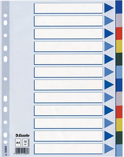 Esselte - divider - 12 parts - for A4 - tabbed - multicolour