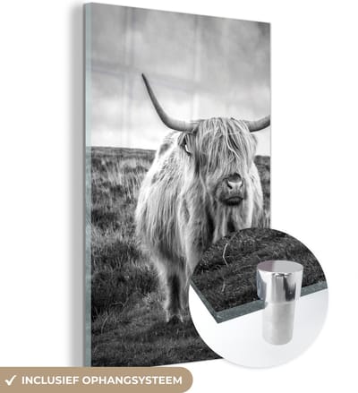 MuchoWow® Glasschilderij 120x180 cm - Schilderij acrylglas - Schotse hooglander - Dieren - Wolken - Koe - Natuur - Foto op glas - Schilderijen