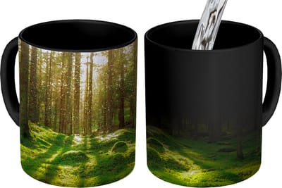 Magische Mok - Foto op Warmte Mokken - Koffiemok - Bomen - Bos - Mos - Planten - Zon - Natuur - Magic Mok - Beker - 350 ML - Theemok