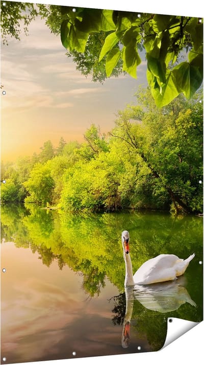 Gards Tuinposter Zwaan op het Water in het Bos - 120x180 cm - Tuindoek - Tuindecoratie - Wanddecoratie buiten - Tuinschilderij