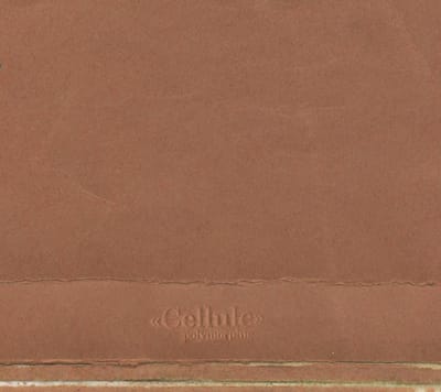 Polymorphie - Cellule (CD)