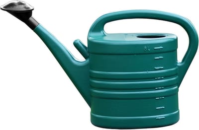 Gieter met Lange Uitloop - Plantenbewateraar Tuinsproeier - Planten Verzorgen - Afneembare Sproeikop - 5 Liter - Donkergroen