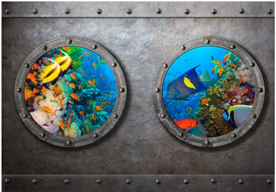 Fotobehang - Window to the underwater world.