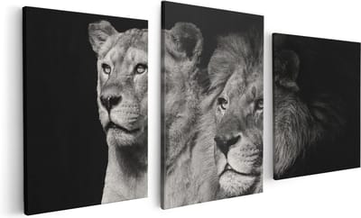 Artaza Canvas Schilderij Drieluik Leeuw En Leeuwin - Zwart Wit - 120x60 - Foto Op Canvas - Canvas Print