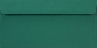 Gladde groene enveloppen DL - 110 x 220 mm - 25 stuks - HK zelfklevend met plakstrip - 90 gram - Burano - Netuno