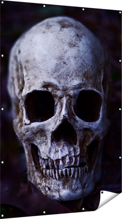 Gards Tuinposter Schedel - Doodshoofd - 120x180 cm - Tuindoek - Tuindecoratie - Wanddecoratie buiten - Tuinschilderij