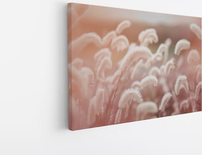 Saammp Canvas Schilderij - Roze fluffy Bloemen - Abstract - 30x20 - Foto op canvas - Wanddecoratie - Muurdecoratie Woonkamer - Kantoor Decoratie
