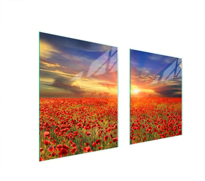 TMK ArtDeko - Glazen Beschermplaat - 85x52 cm - Maki - Veilig en Veelzijdig
