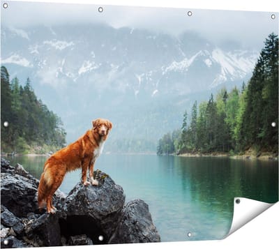 Gards Tuinposter Retriever Hond bij het Water in de Bergen - 120x90 cm - Tuindoek - Tuindecoratie - Wanddecoratie buiten - Tuinschilderij