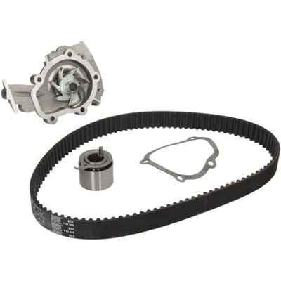 Schaeffler Ina Waterpomp+distributieriem set INA 530 0453 30