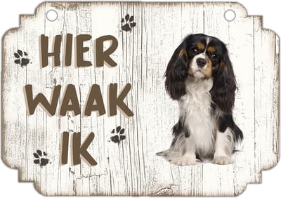Hier Waak Ik: King Charles | Waakbord | Spreukenbord | Hondenras | Hond | Betreden op eigen risico | Pas Op Voor De Hond | Deurbordjes | Bewaker Van Dit Huis