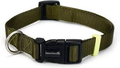 Nylon halsband lichtgroen 48-70cm