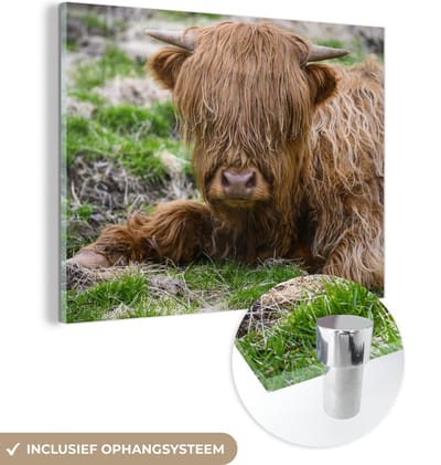 MuchoWow® Glasschilderij 160x120 cm - Schilderij acrylglas - Schotse Hooglander - Hooi - Gras - Foto op glas - Schilderijen