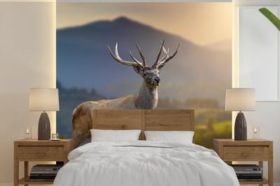 Behang - Fotobehang Hert - Berg - Gras - Zonsondergang - Dieren - Natuur - Breedte 240 cm x hoogte 240 cm